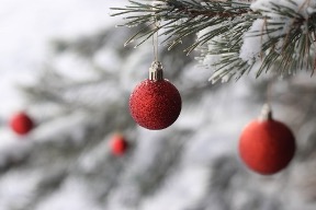 Nieuwsbrief BCL december 2022